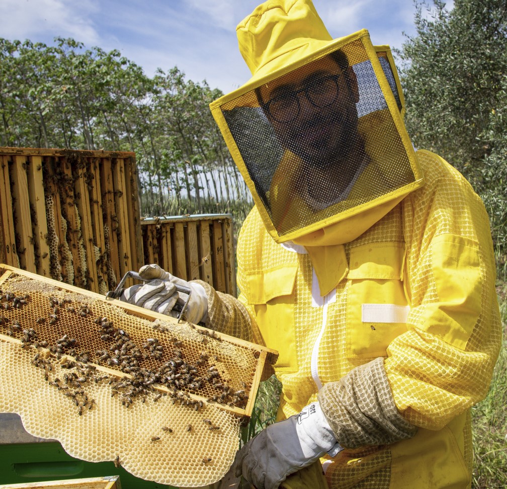 GOODIT - Produttore bio lucano