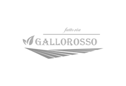 Fattoria Gallorosso - Produttore lucano bio